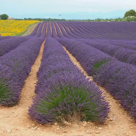 Le Provence Verdon Puimoisson