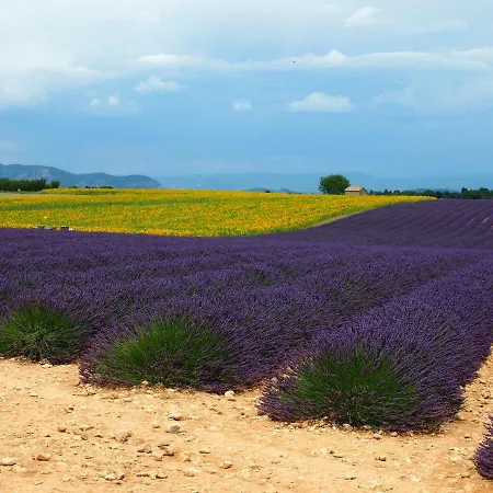 Le Provence Verdon Appartement